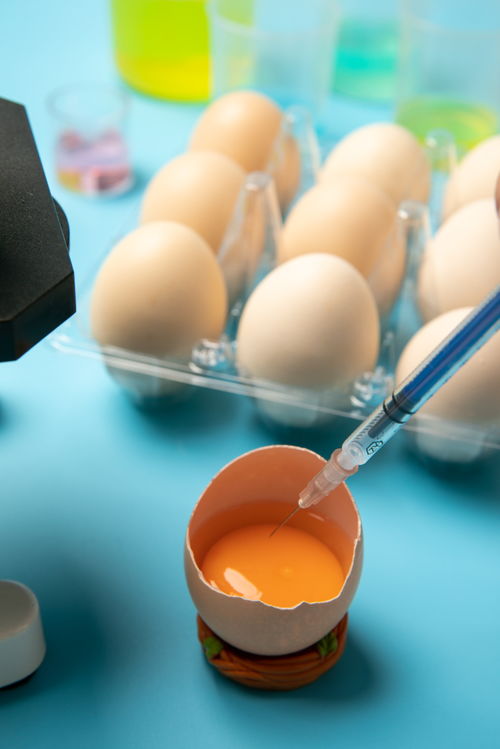 開殼雞蛋食品安全農業科技食品培育攝影圖 插畫 下載至來源處