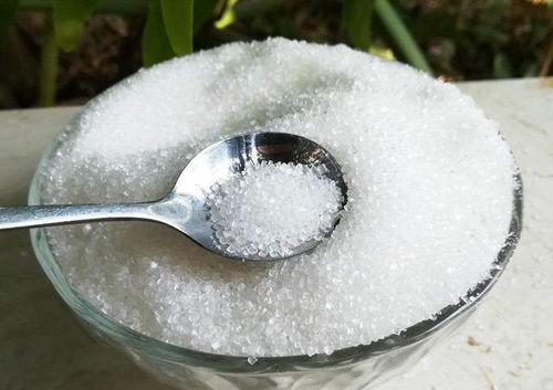 養(yǎng)花5種 生根劑 ,路邊撿一把,扦插泡一泡,大白根噌噌往外冒